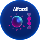 Cell Line Development